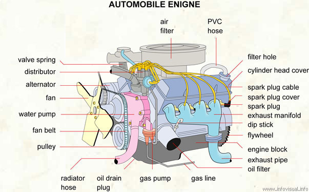 Automobile engine  (Visual Dictionary)